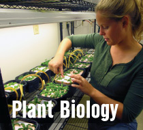 plant bio box