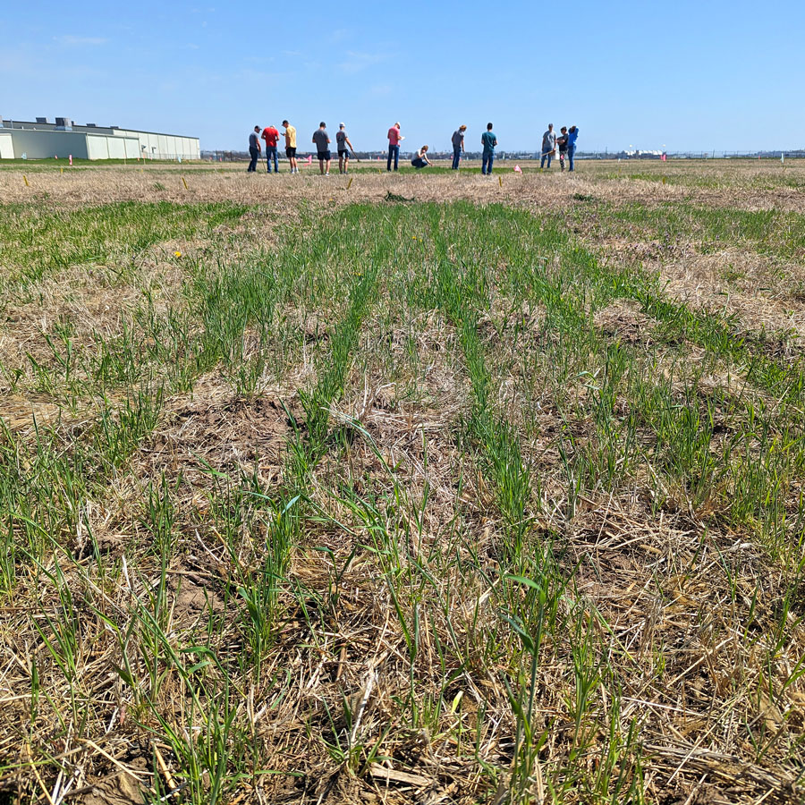 University of Nebraska–Lincoln students from the Plant and Landscape Systems 204 Resource Efficient Crop Management class visit and collect data on plant heights and ground cover at a cover crop variety experiment.