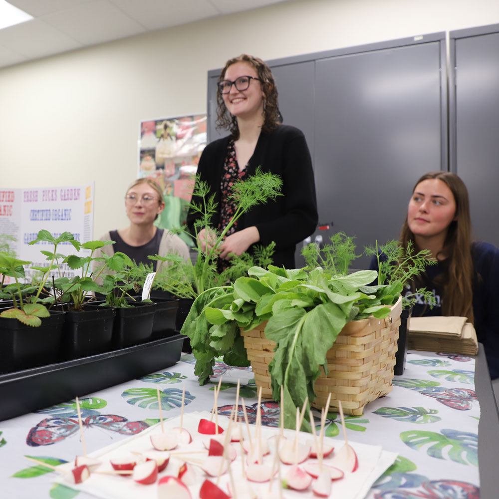 Husker students in Specialty Crop Innovations (PLAS 454/HORT 854) worked hard all semester to manage their 80-square-foot micro-farms in the high-tunnel greenhouse on East Campus. 
