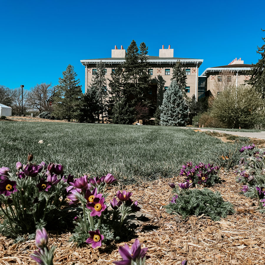 Goodbye snow, hello sun! We are happy to see our favorite spots on campus melt into spring.