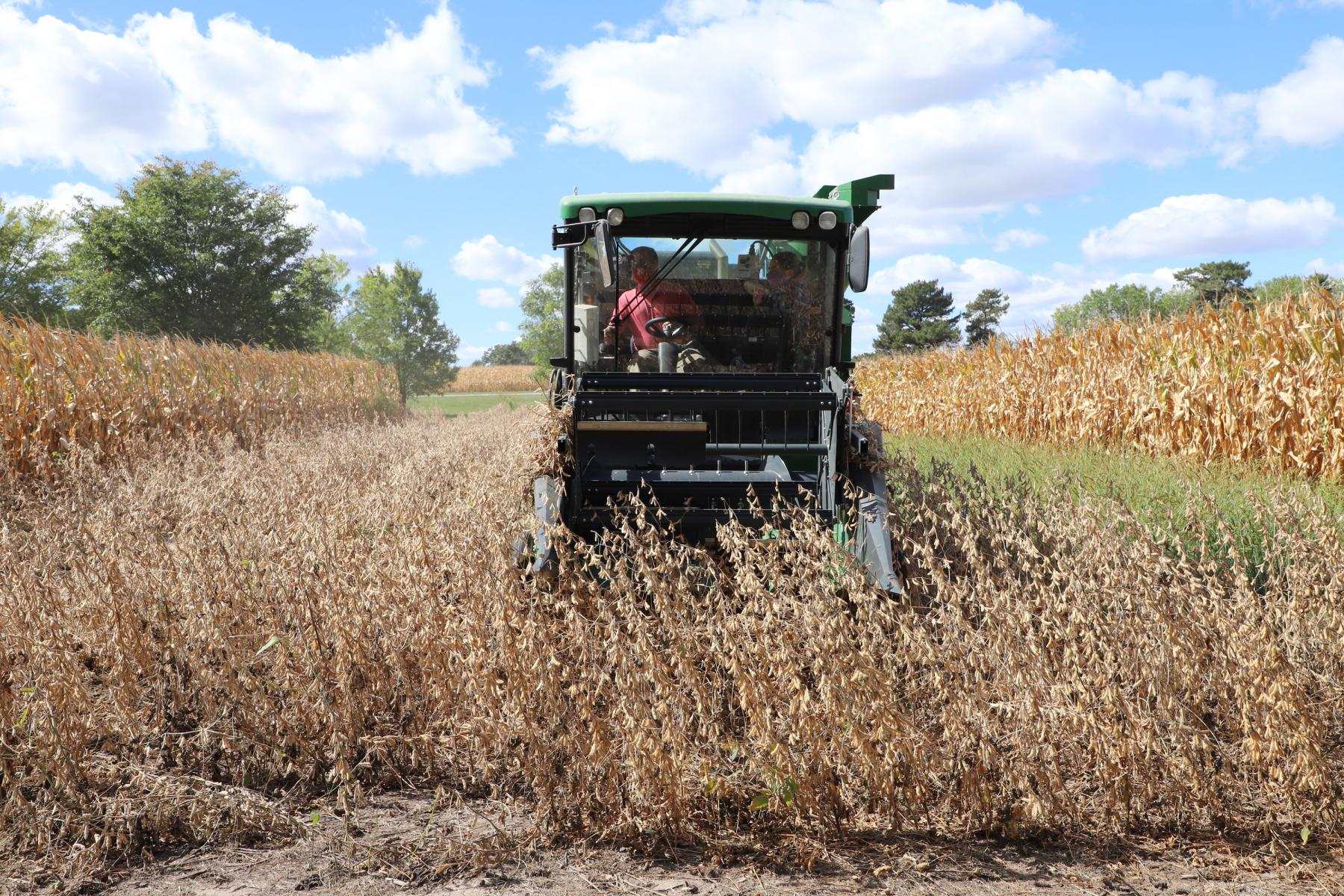 Joshua Reznicek and Alyssa Kuhn harvest soybeans on East Campus