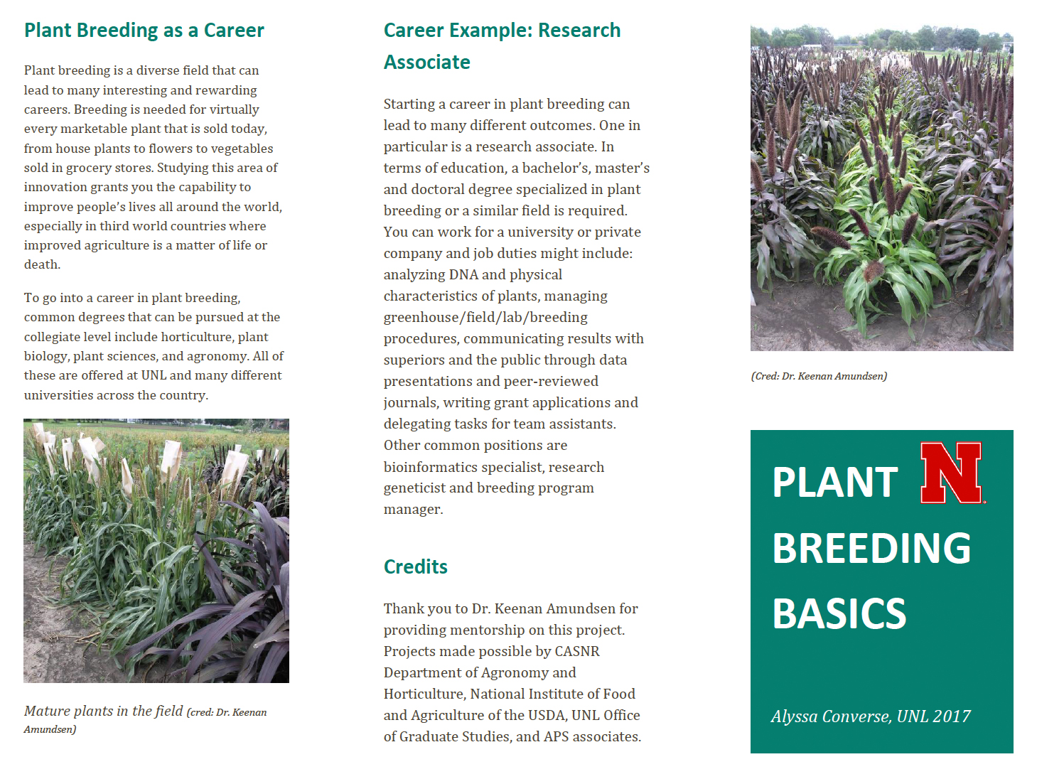 What is plant breeding? poster