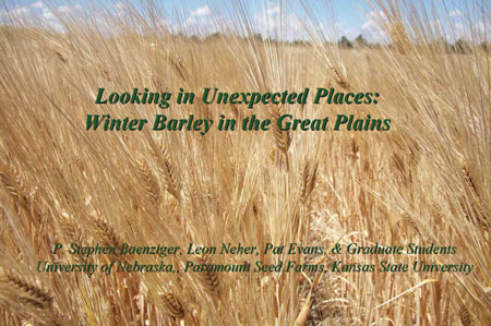 Barley Improvement presentation