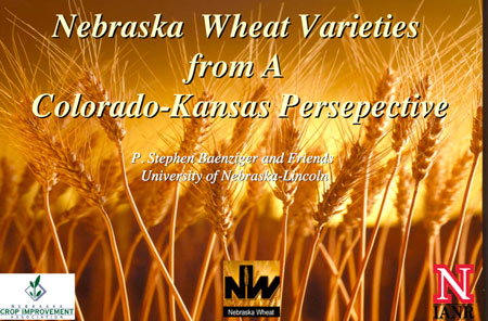 Baenziger wheat summit presentation image