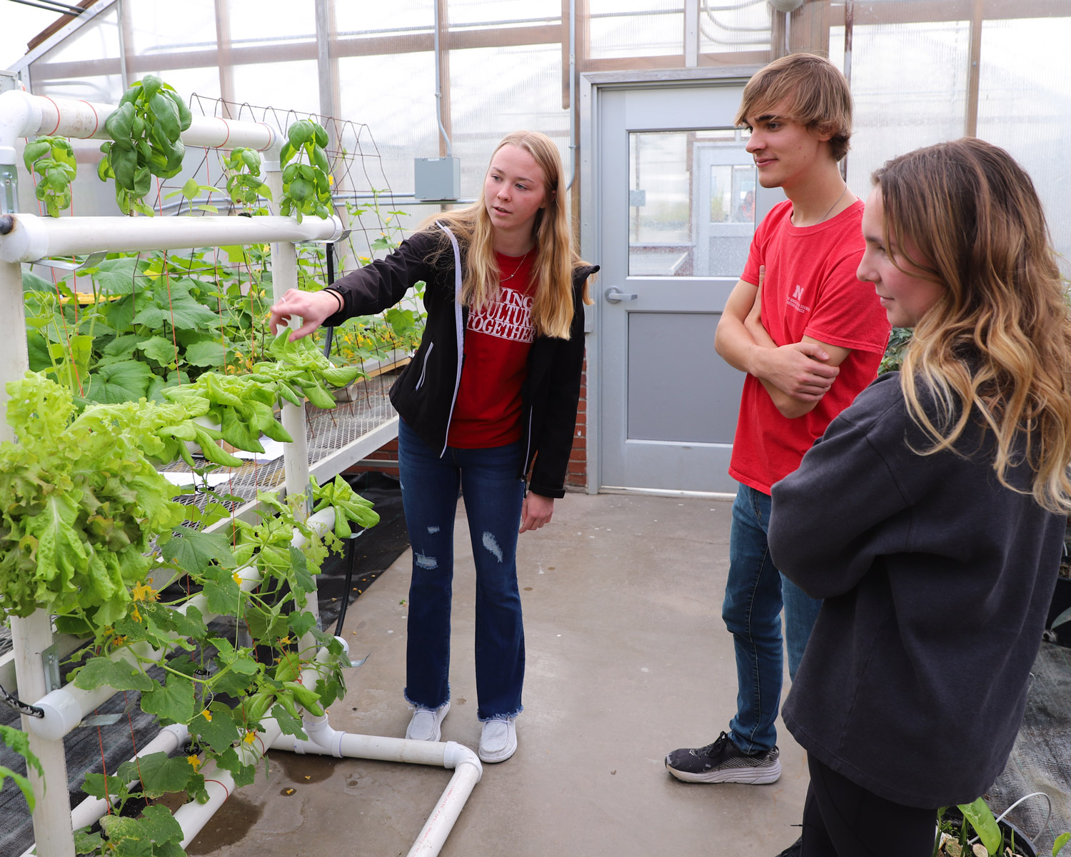 Students in greenhouse