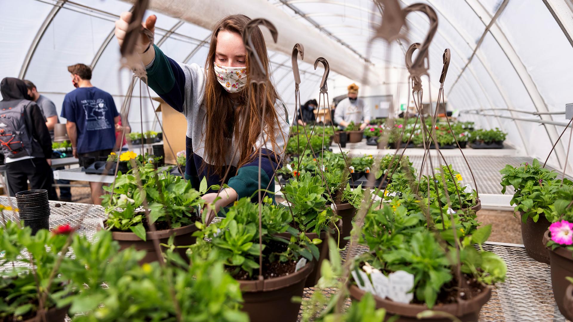 Horticulture Club annual spring plant sale