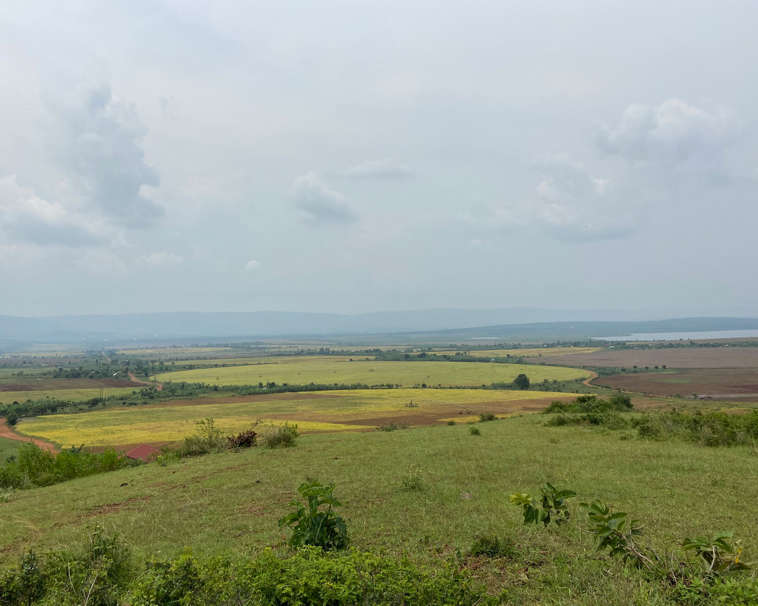 The crop circles, visible here from a hillside overlook, show a wider picture of center pivot activity at Nasho’s Irrigation Cooperative. One pivot may have dozens of landowners growing several different crops on different planting schedules. Photo Credit: Zane Mrozla-Mindrup	
