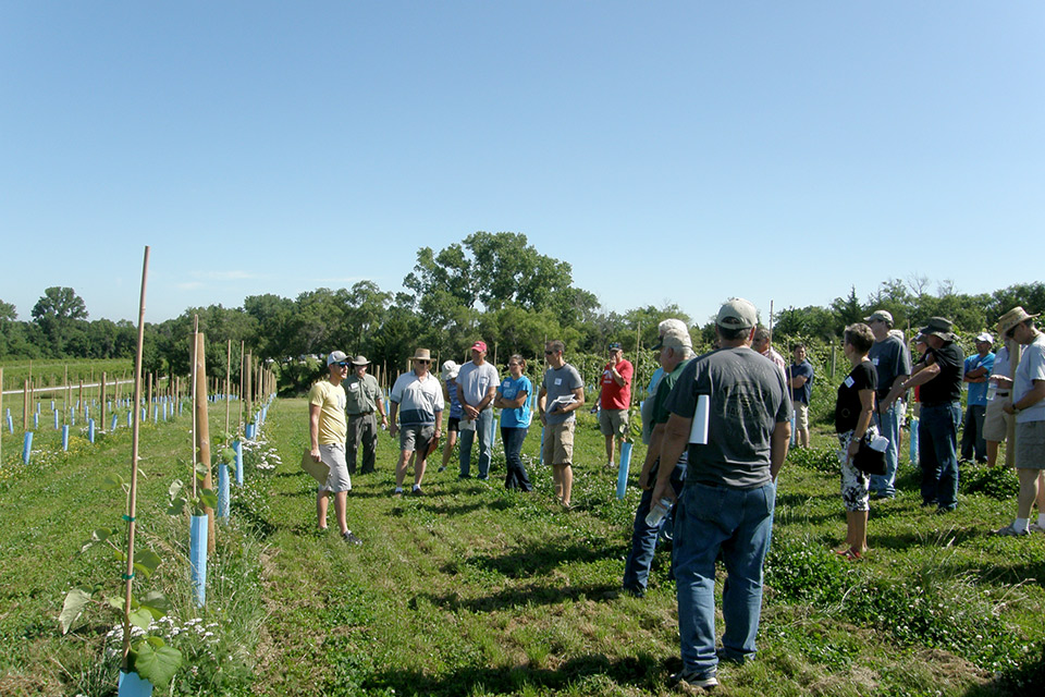 Ben Loseke presenting at Viticulture Field Day, July 11, 2015