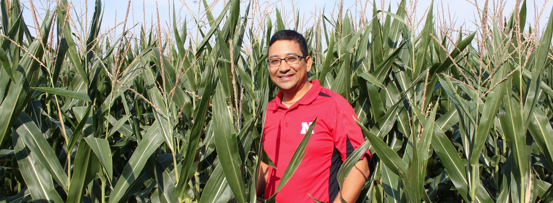 Bijesh Maharjan in Nebraska cornfield