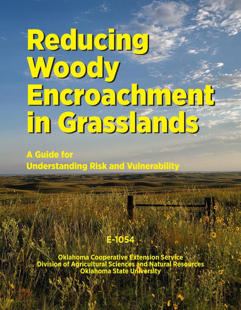 New Science Guide Details Better Approach for Addressing Woody Encroachment Across America’s Grasslands