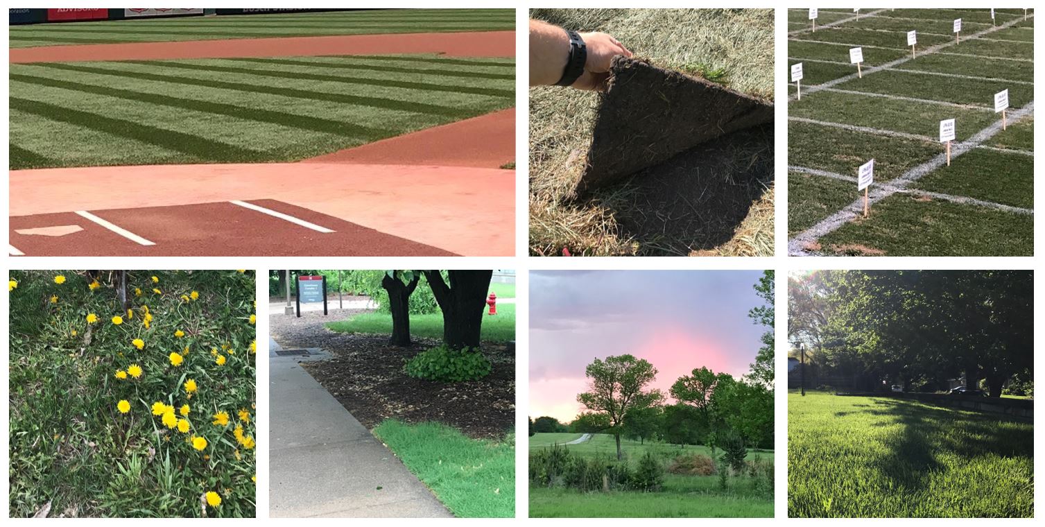 TLMT 327: Turfgrass Science and Management