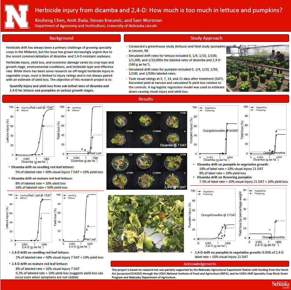 Herbicide injury from dicamba and 2,4-D: How much is too much in lettuce and pumpkins?