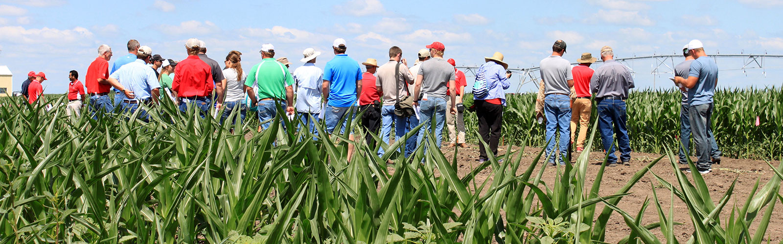 Department Of Agronomy And Horticulture University Of Nebraskalincoln 