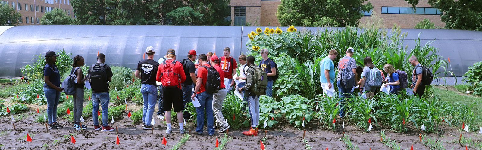 Department Of Agronomy And Horticulture Nebraska 6876