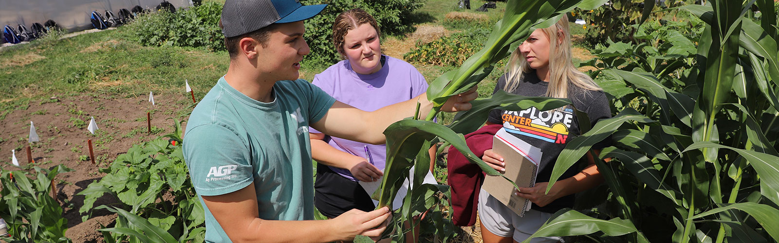 Agronomic Plant Science students learn in the teaching garden on Nebraska East Campus. 
