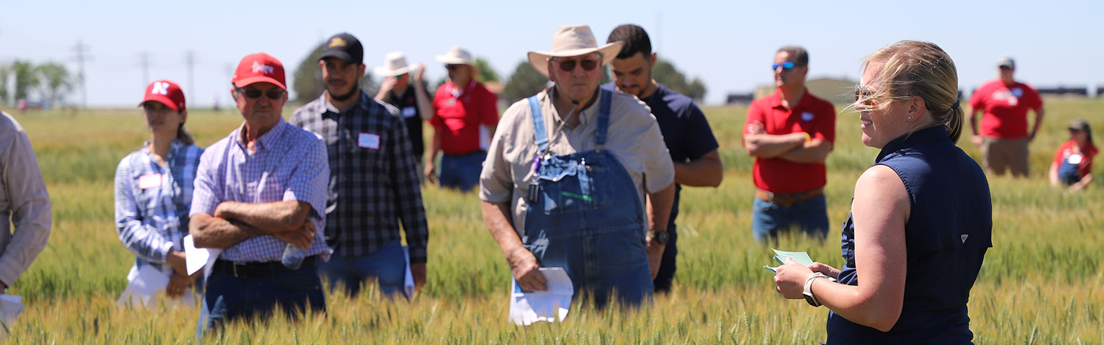 Wheat Variety Tour 2024 in Perkins County