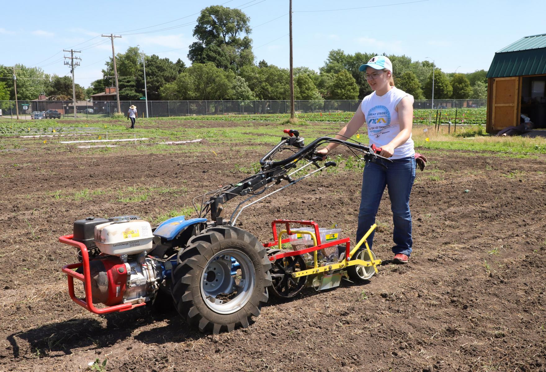 Elizabeth Cunningham, sophomore horticulture major, plants sudangrass cover crop