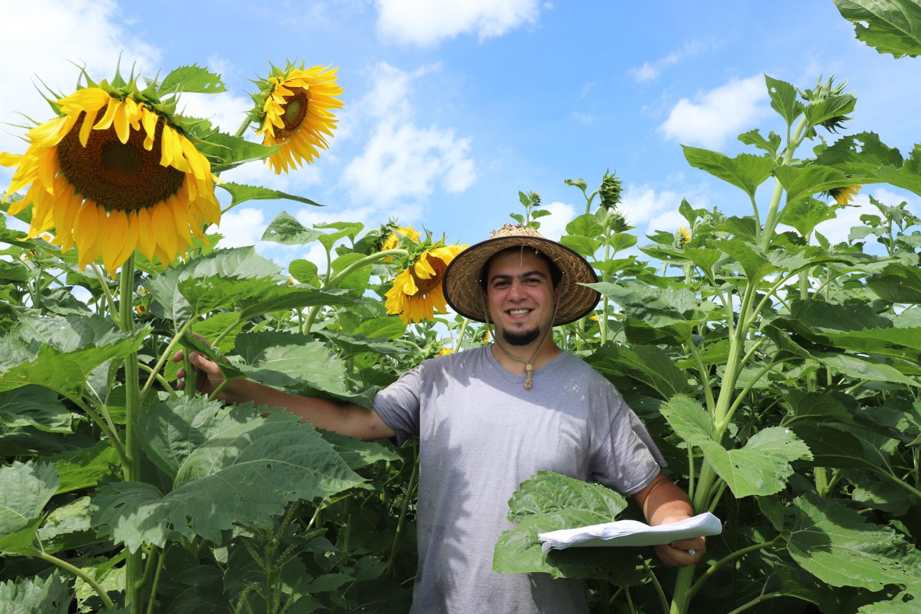 Happy Sunflower