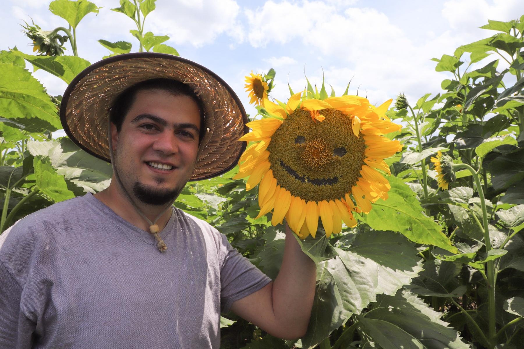 Happy Sunflower