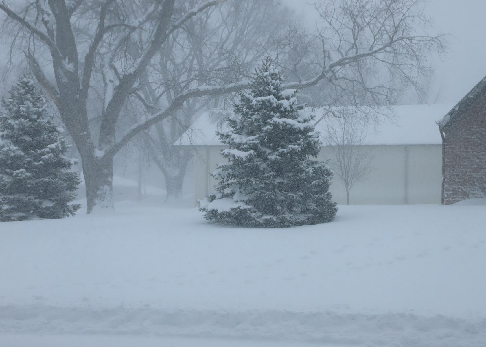 January Blizzard