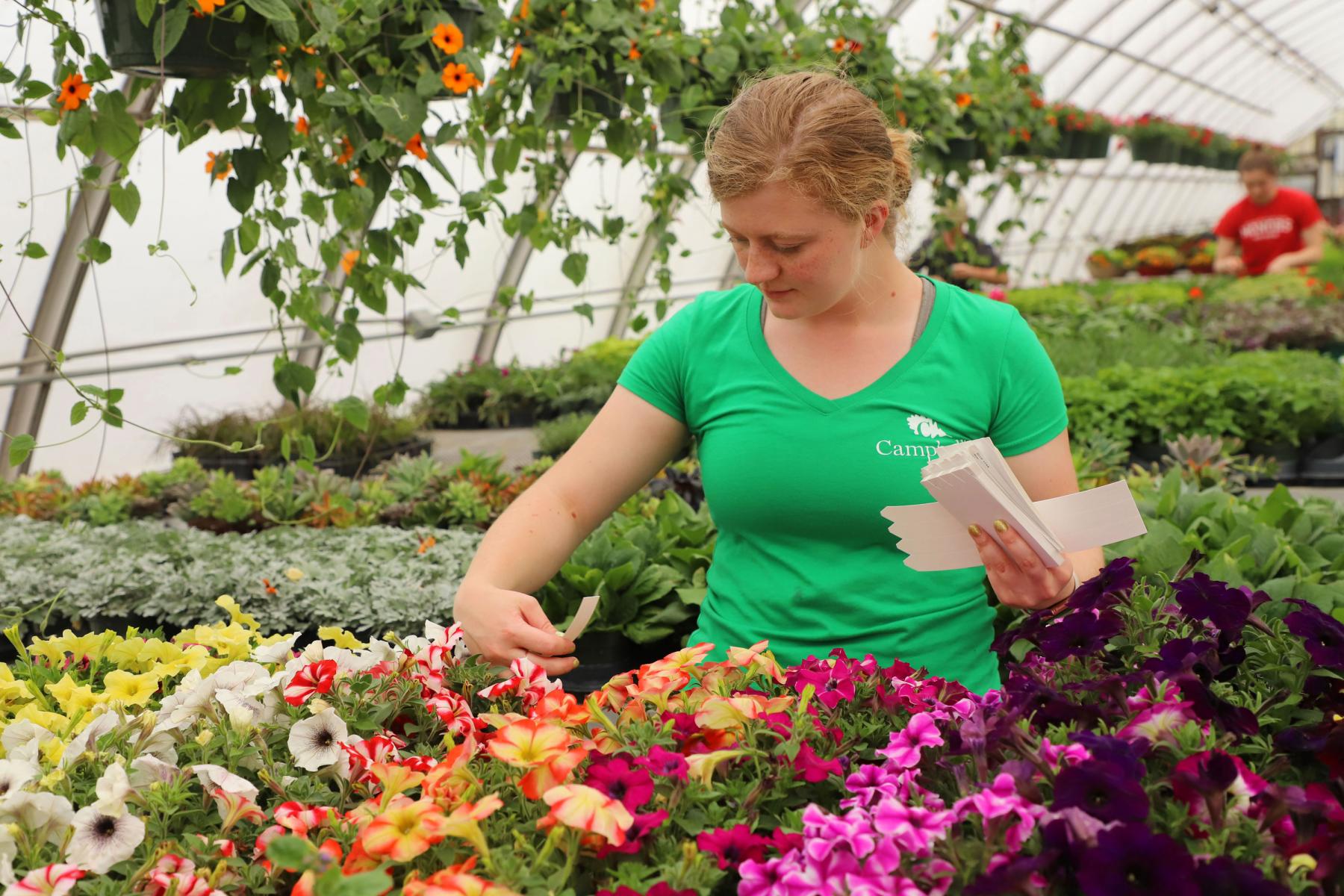 Hort Club plant sale