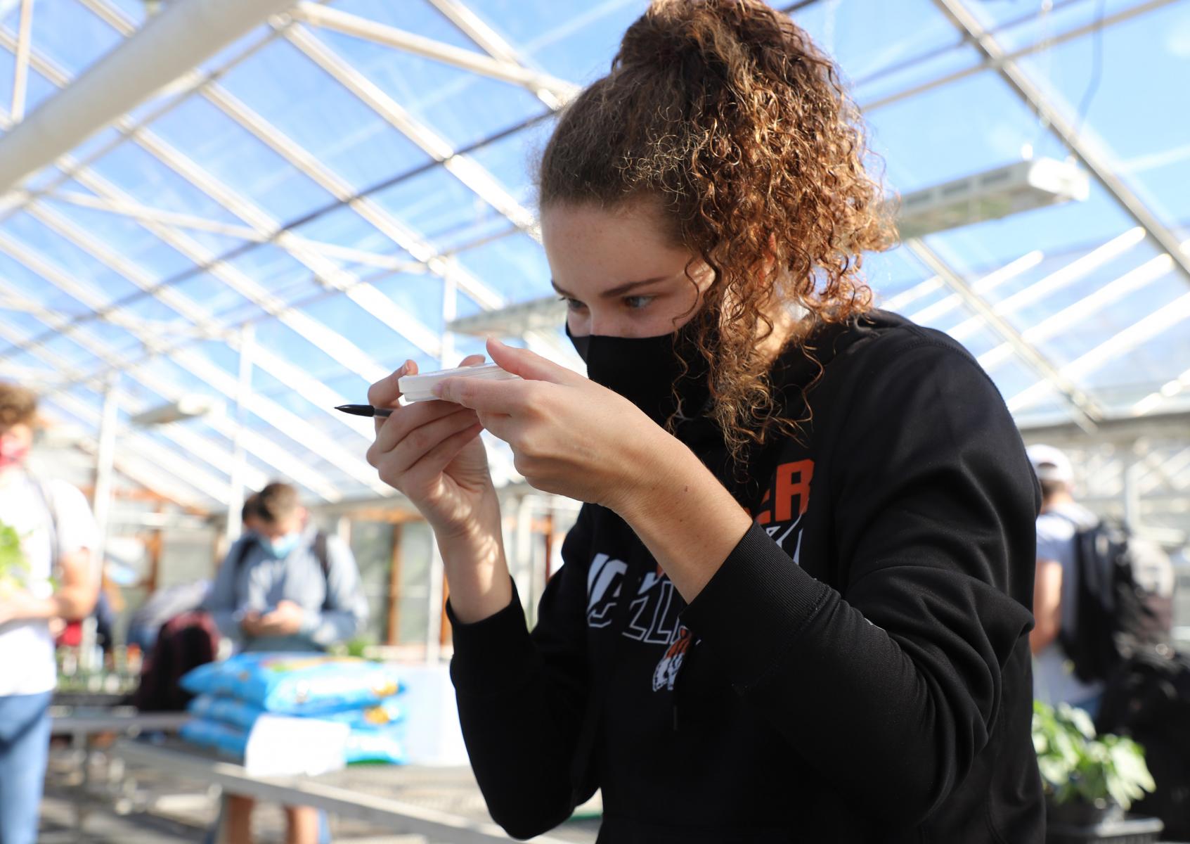 
Kayla Safarik, Department of Agronomy and Horticulture master's student, observes an experiment comparing germination rates of different cover crop seeds in Agronomy 425/825 Cover Crops in Agroecosystems. Course is taught by Andrea Basche, assistant professor, and Sam Wortman, associate professor.  