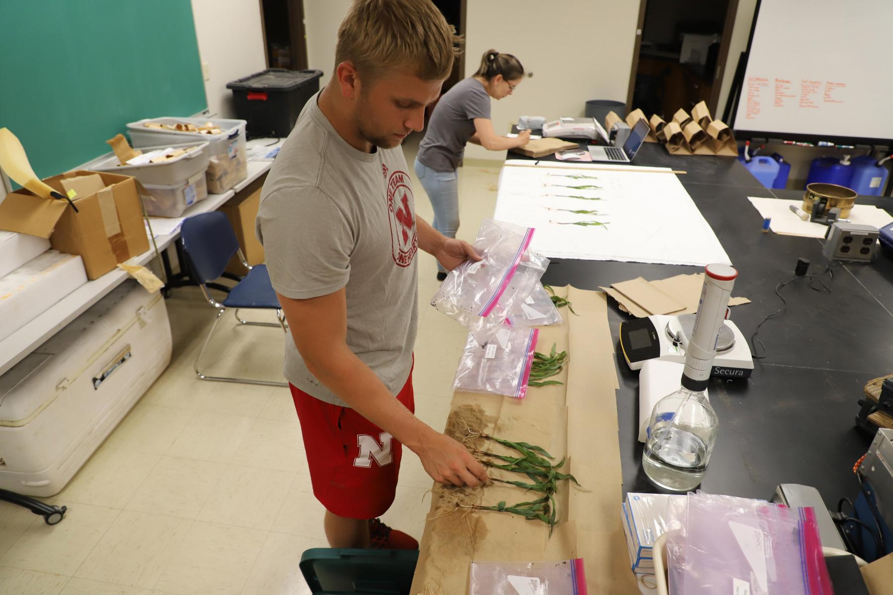 Garrett Snodgrass, a junior agronomy major (left), works with Tauana Almeida, agronomy doctoral student.