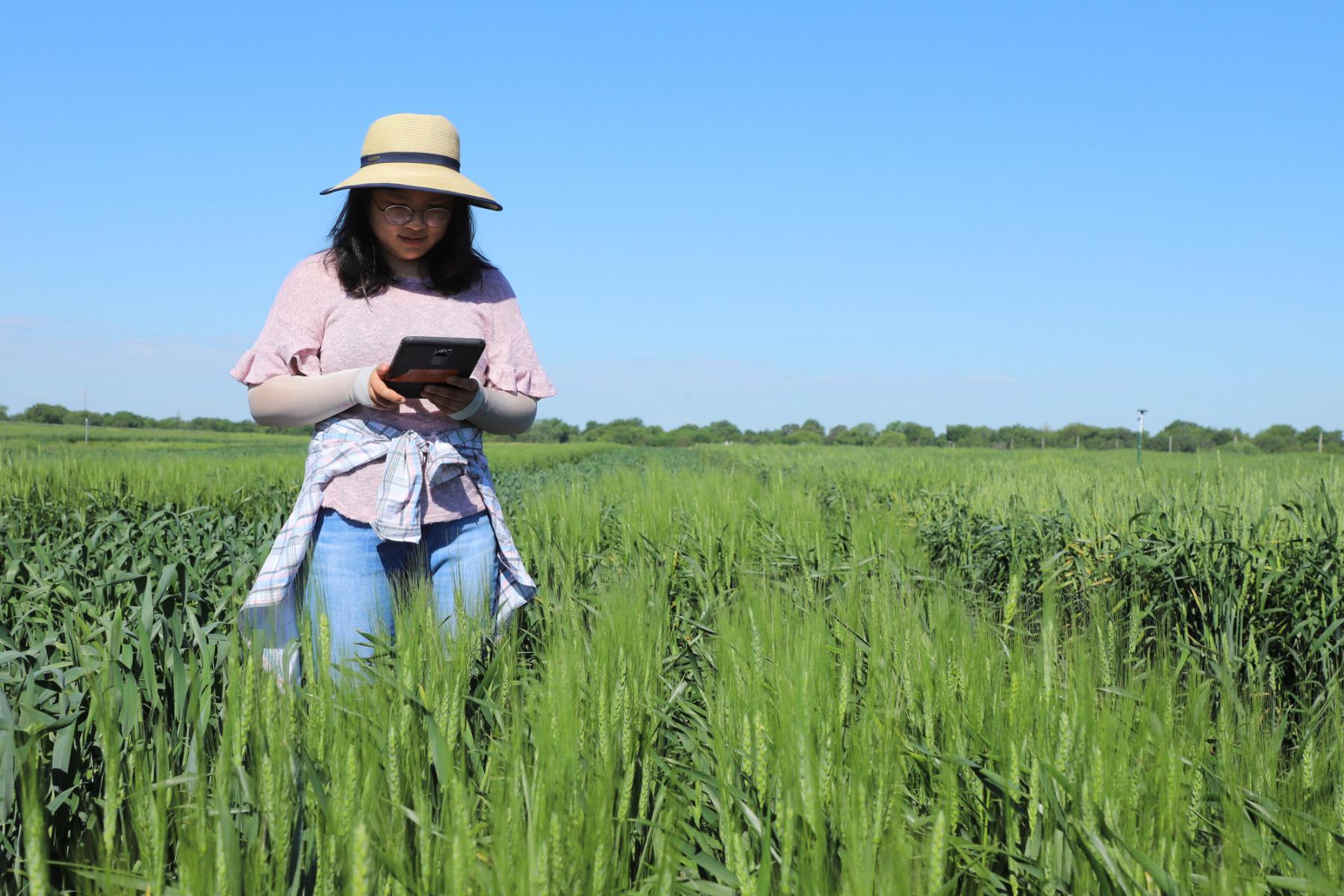 Fang Wang, agronomy and horticulture doctoral student