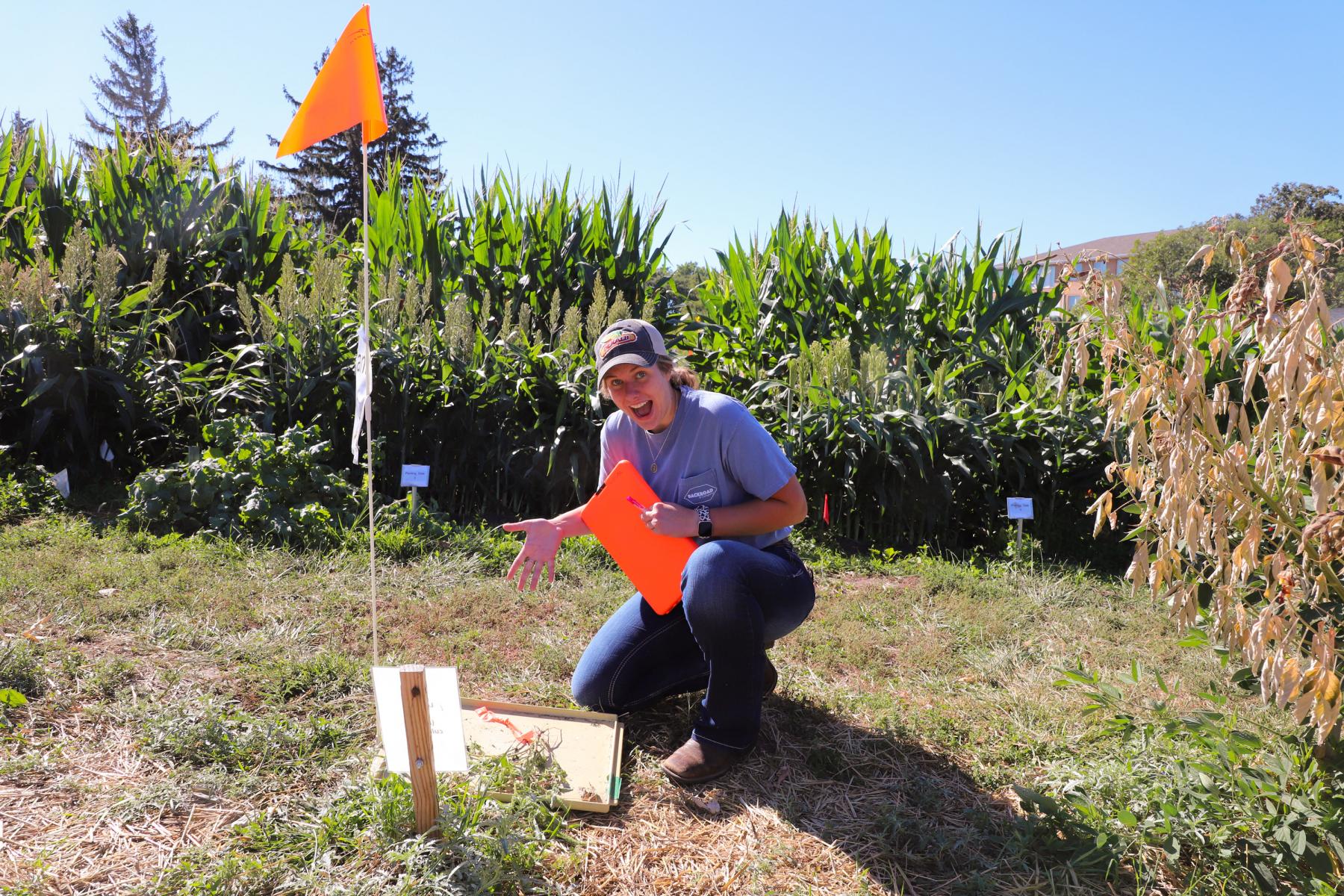 Elizabeth Yrkoski, teaching assistant for Agronomy 132 Agronomic Plant Science Laboratory and senior agricultural economics major, poses at a test question in the Teaching Garden east of Plant Sciences Hall. Meghan Sindelar, Department of Agronomy and Horticulture assistant professor of practice, teaches the course.