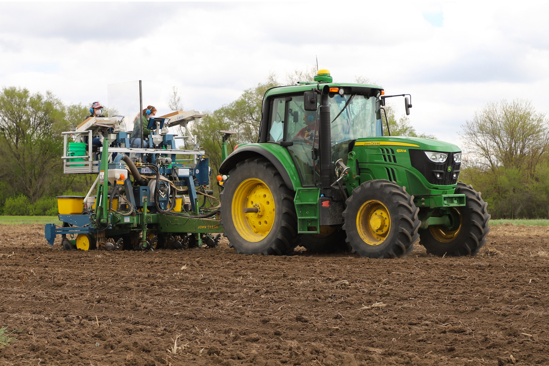 planting corn at Havelock Farm