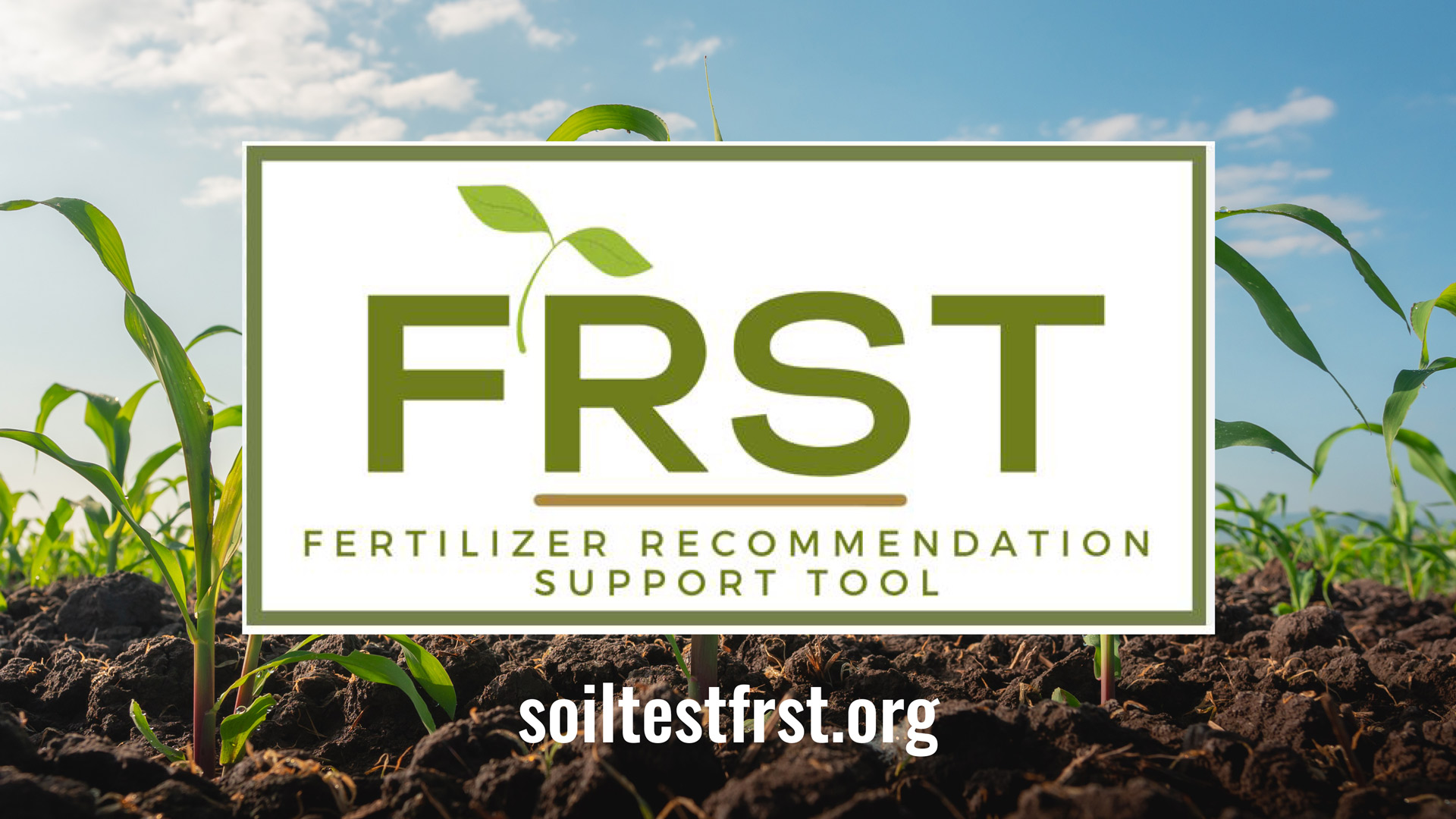 Fertilizer Recommendation Support Tool to Digitize Crop Nutrient Management Launches Nationwide