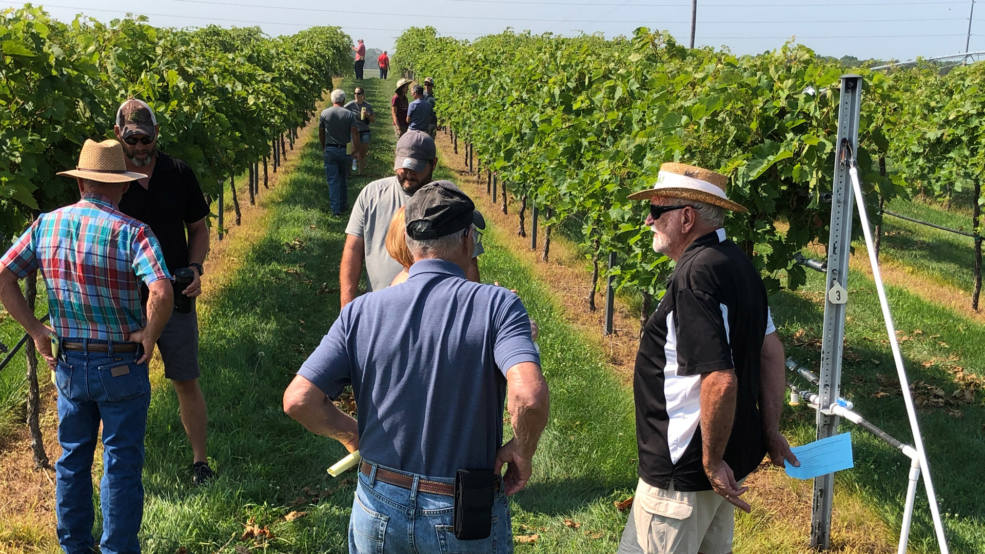 The University of Nebraska Viticulture Program and the Nebraska Winery and Grape Growers Association will host the Harvest Field Day August 8 at Oak Creek Vineyards near Raymond, Nebraska.