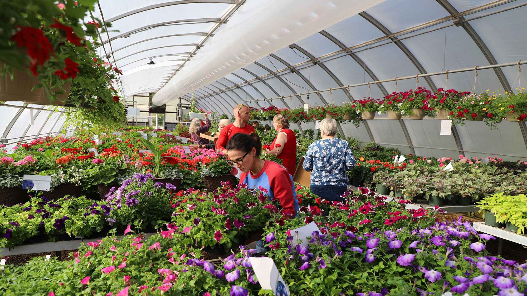 Shoppers choose from a variety of bedding plants at the 2023 Horticulture Club plant sale.