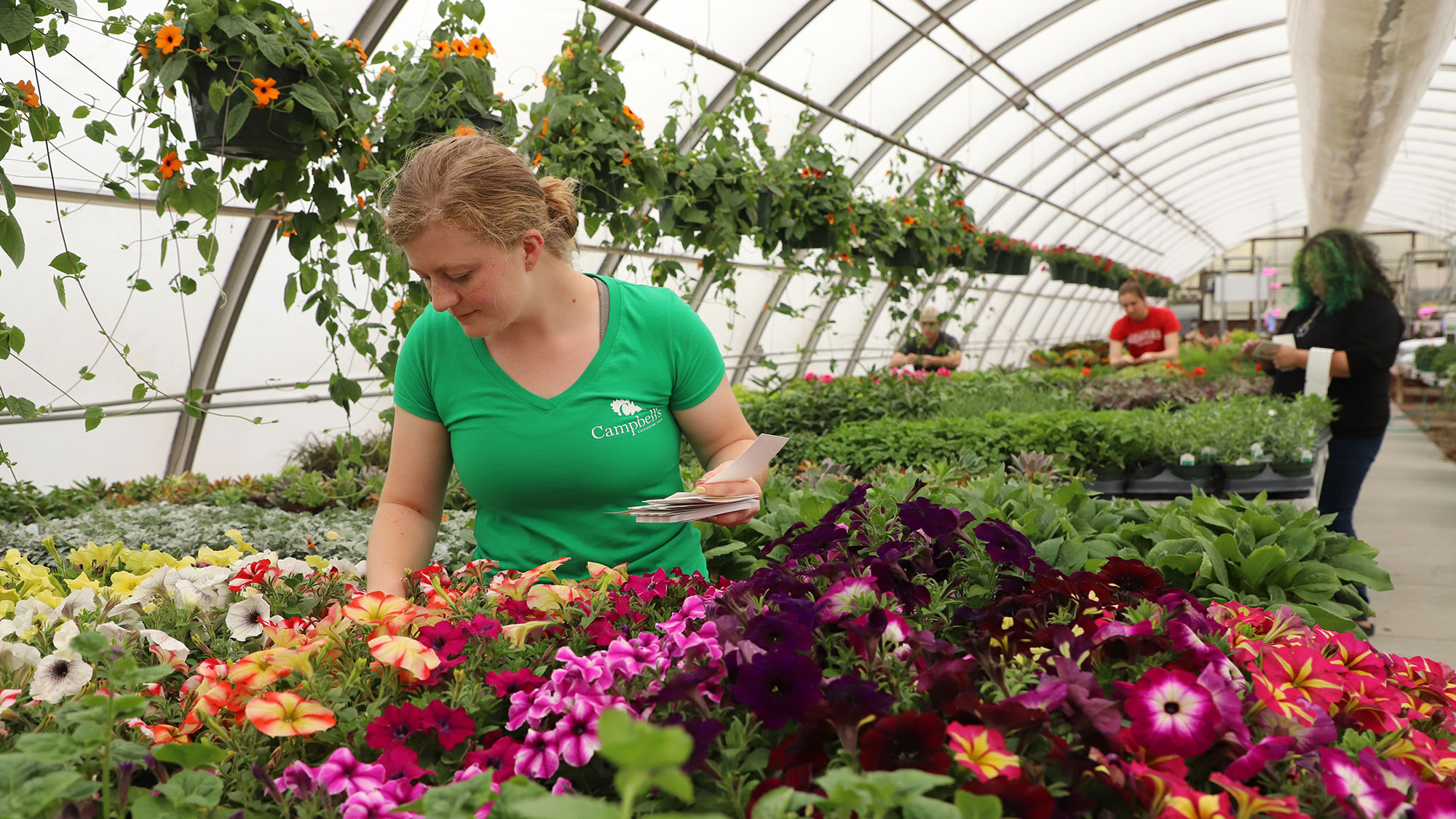 Sarah Wulf, Horticulture Club president, and club members tag plants in the greenhouse in preparation for the club's sale May 4–6. Photo by Fran tenBensel Benne | Agronomy and Horticulture