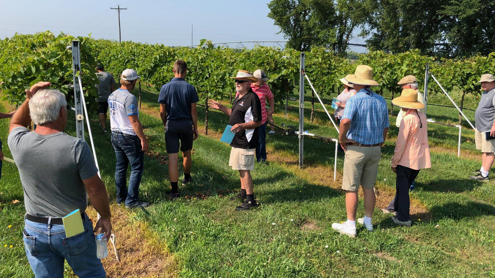 The University of Nebraska Viticulture Program and the Nebraska Winery and Grape Growers Association will host a field day June 6.