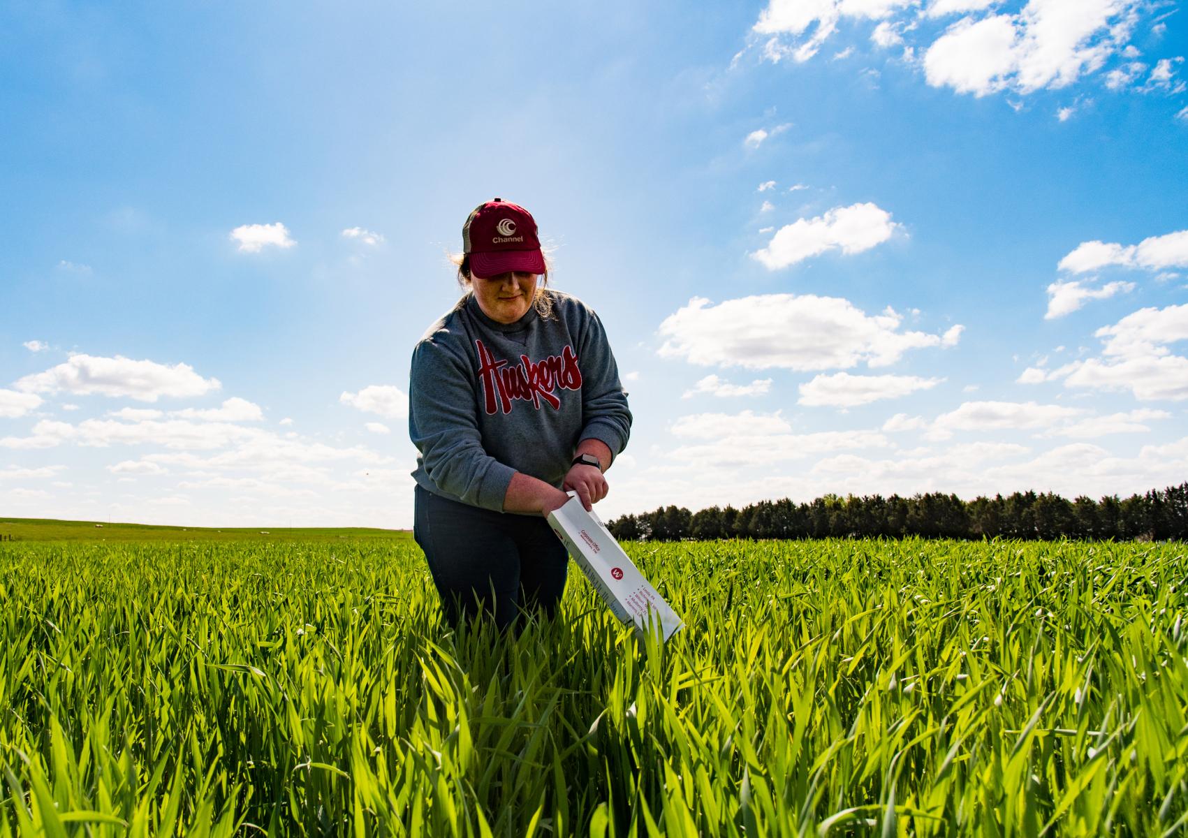 Erika Derr, junior agronomy major, collects tissue samples in a wheat on-farm research plot in Nemaha County.