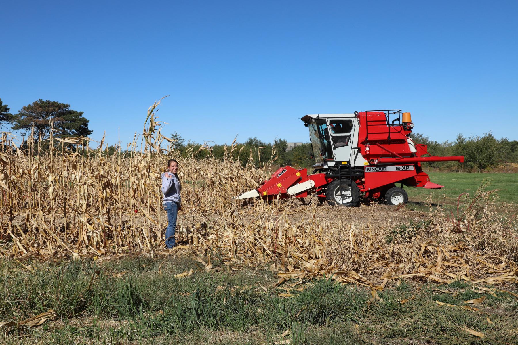 Joshua Reznicek and Alyssa Kuhn harvest corn on East Campus