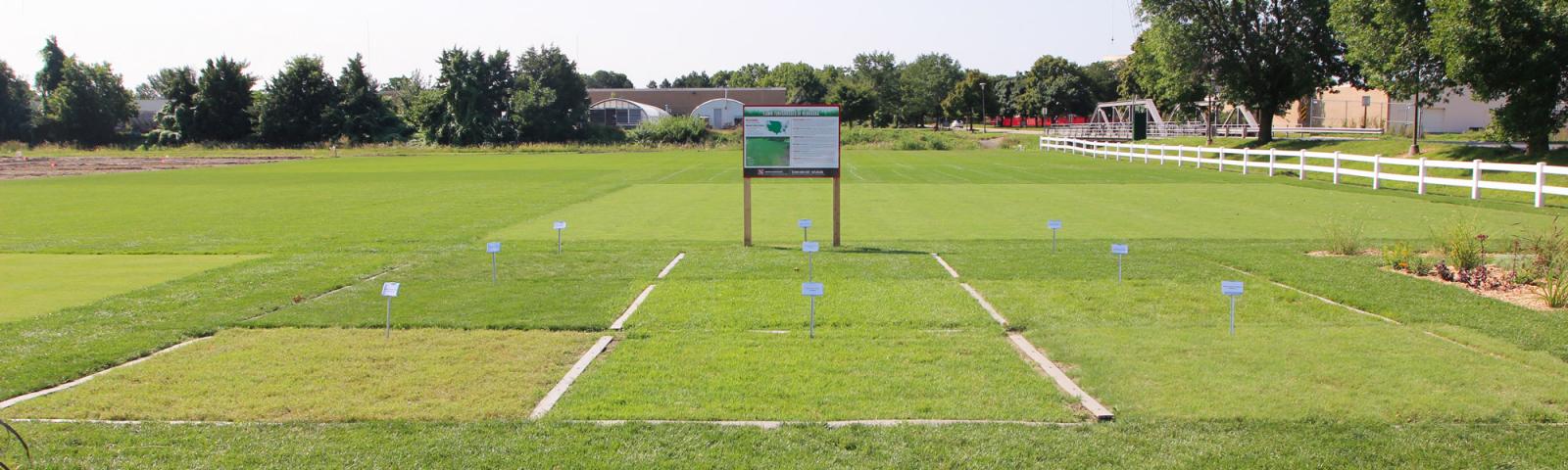 turf field