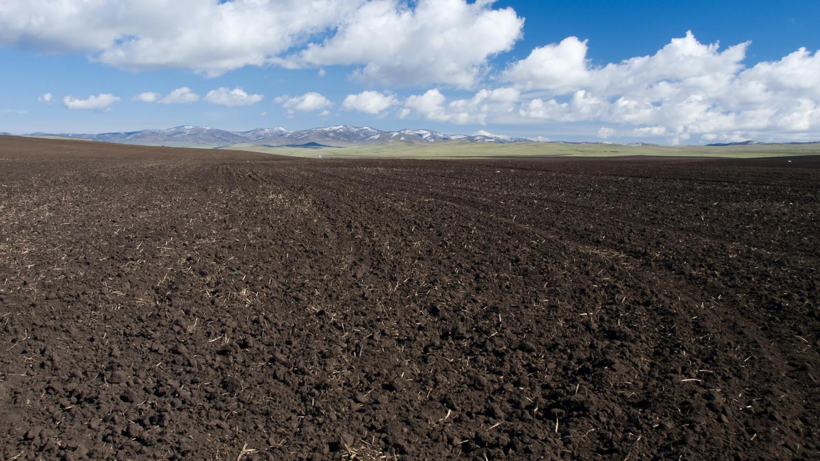 field of soil and mountains