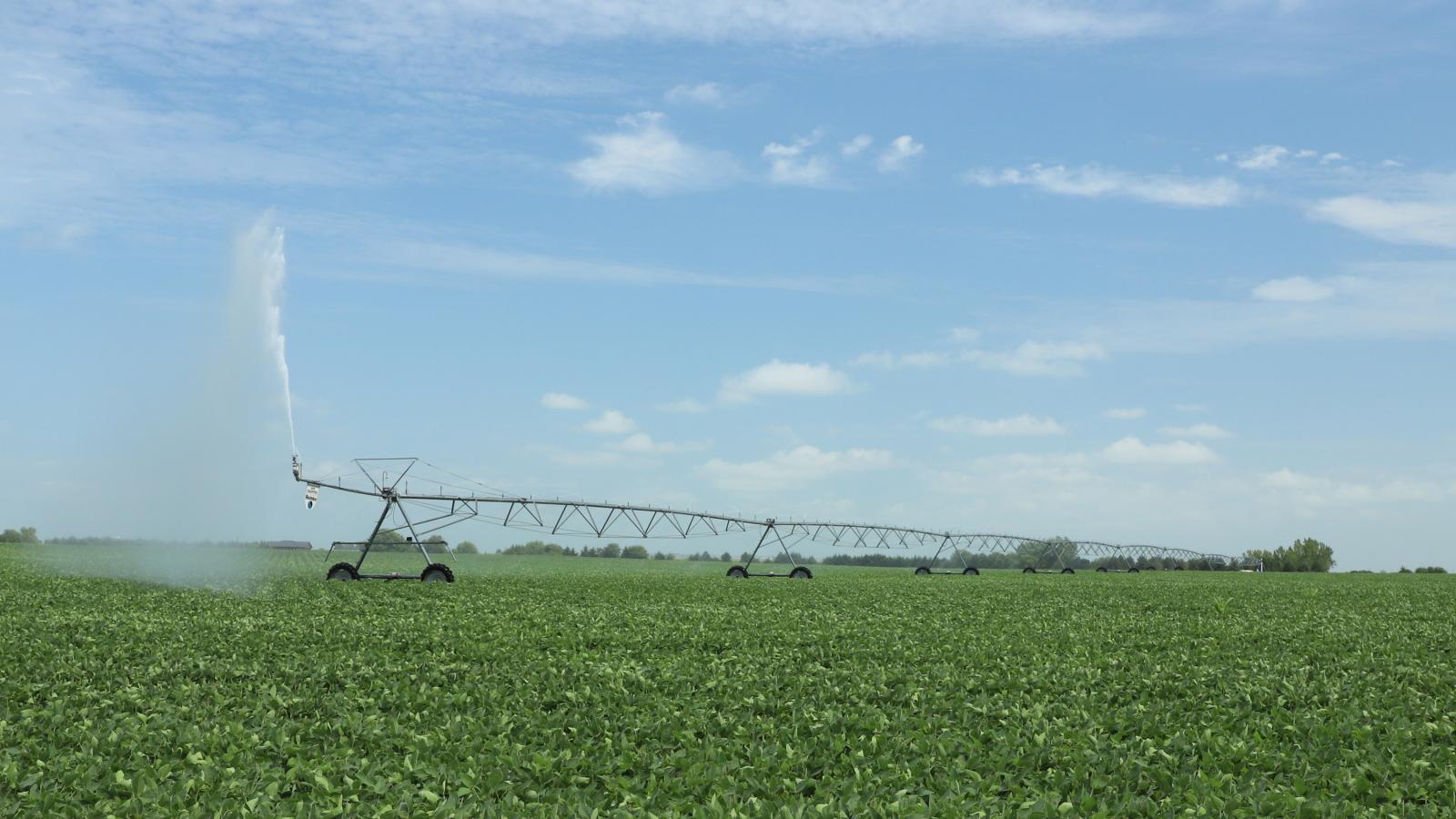 irrigating soybeans