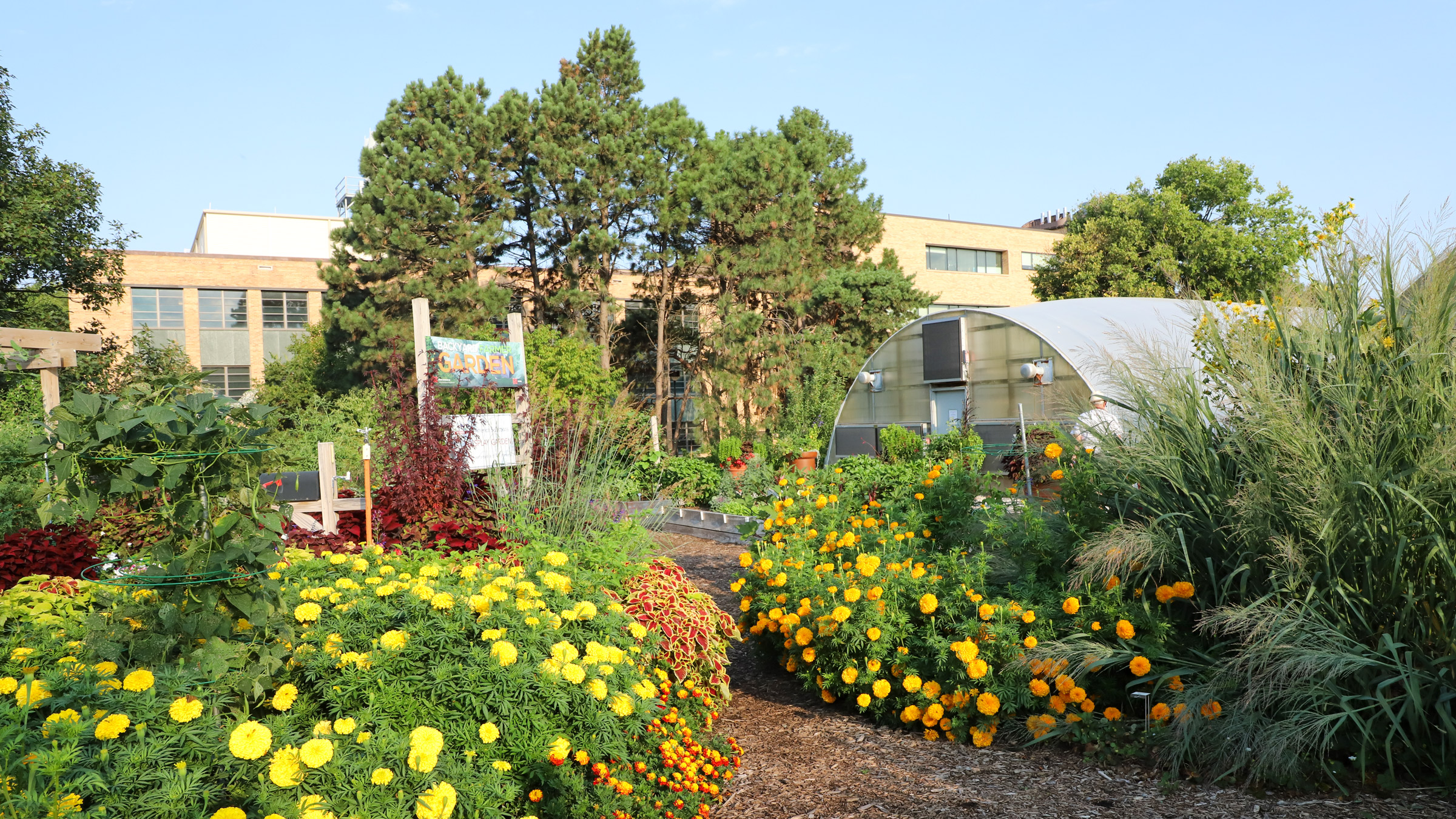 Backyard Farmer Garden