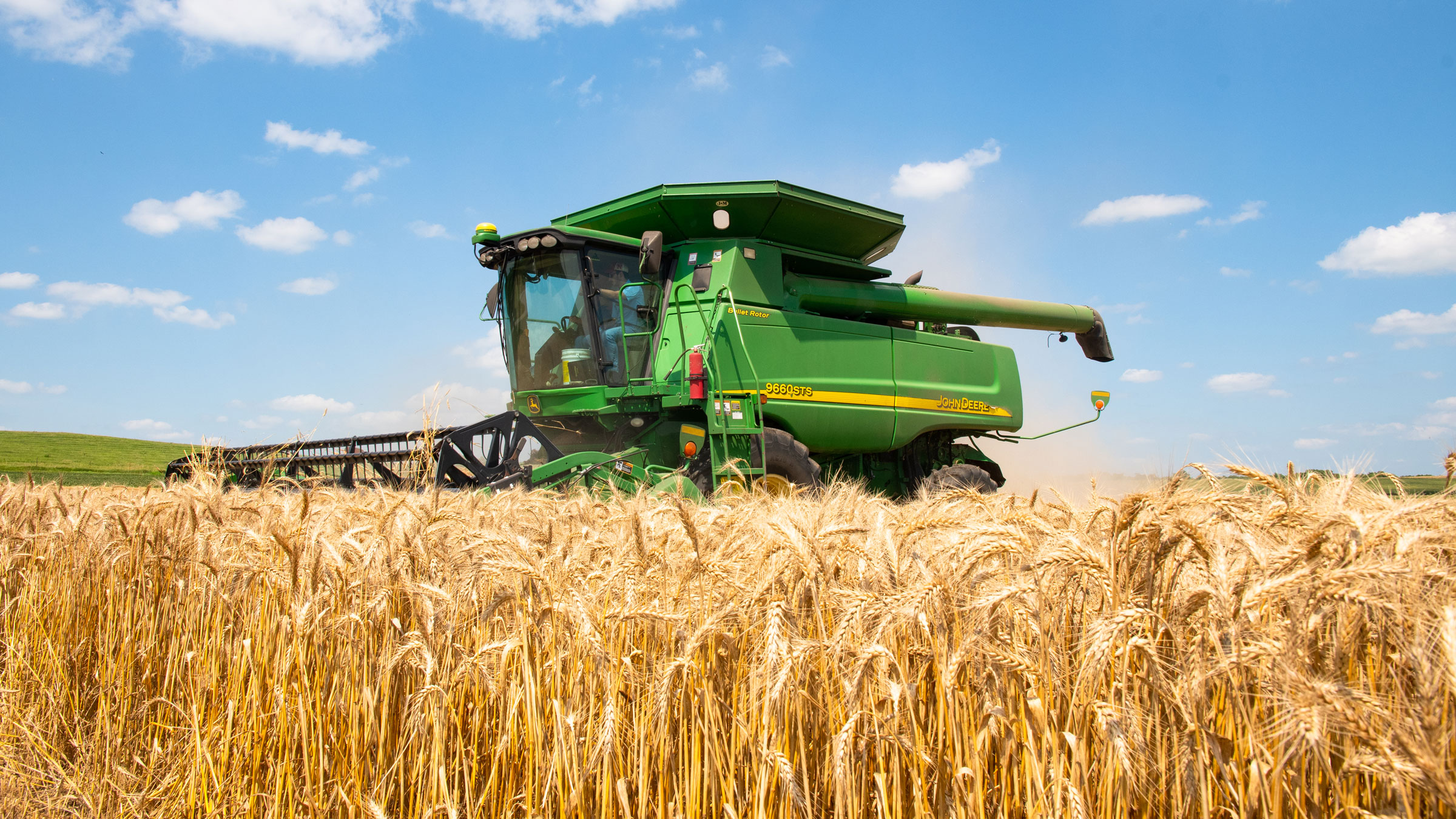 harvesting wheat