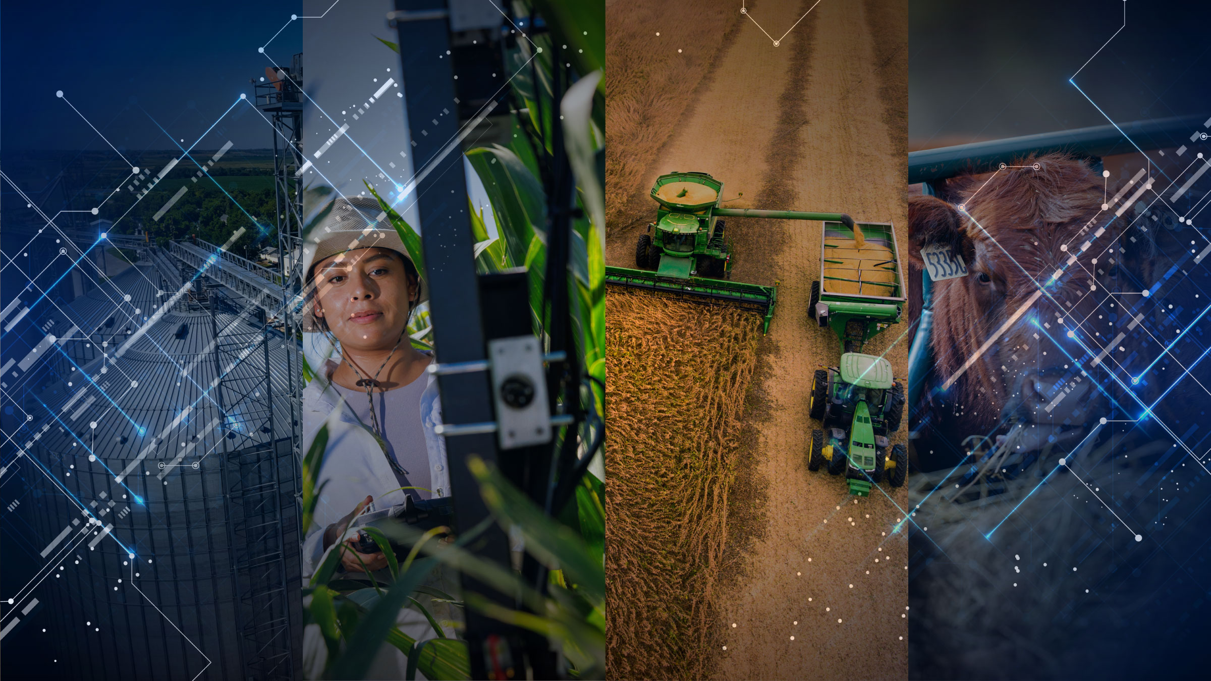 Digital collage showing grain silos, farming equipment, corn plants, and a cow, accented with blue network lines.
