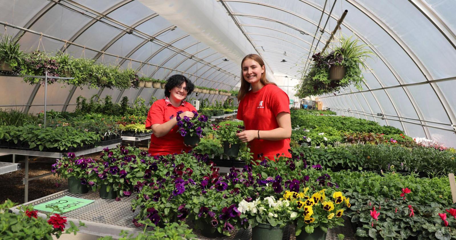 Hort Students in greenhouse