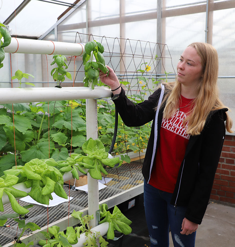 hydroponics open house