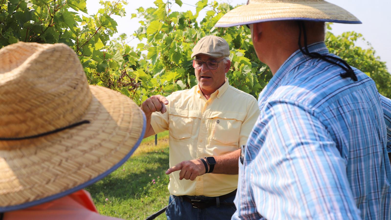 Stephen Gamet at vineyard