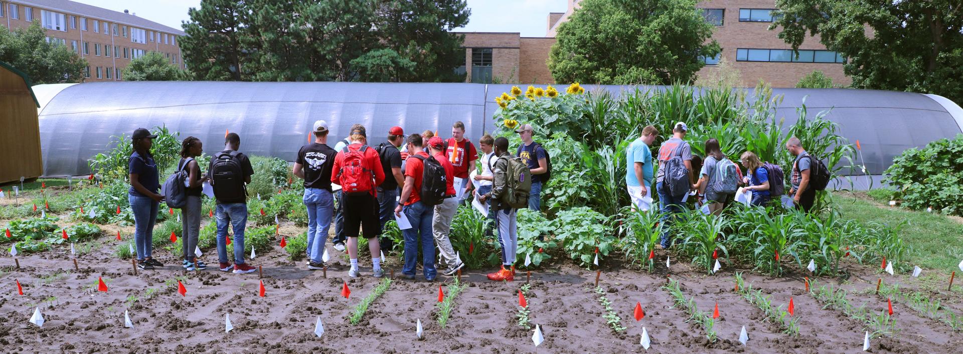 students in teaching garden