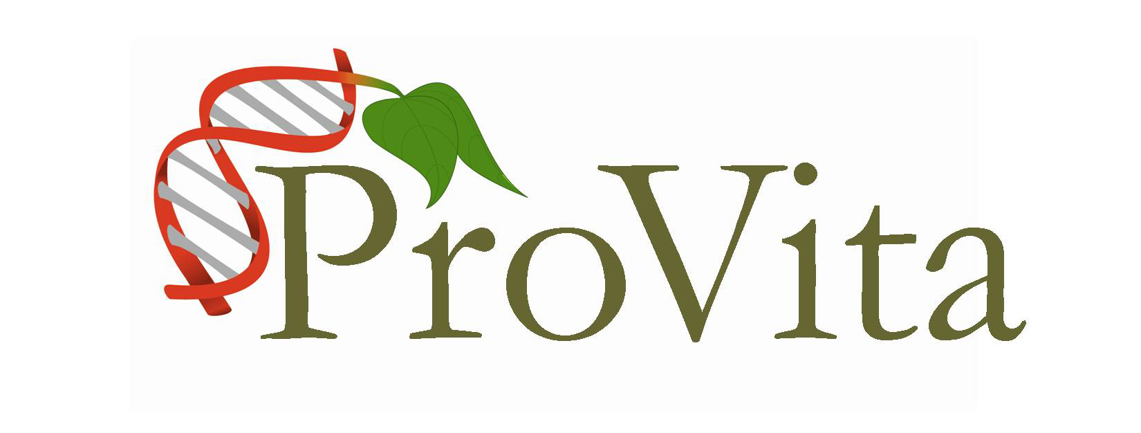 ProVita logo