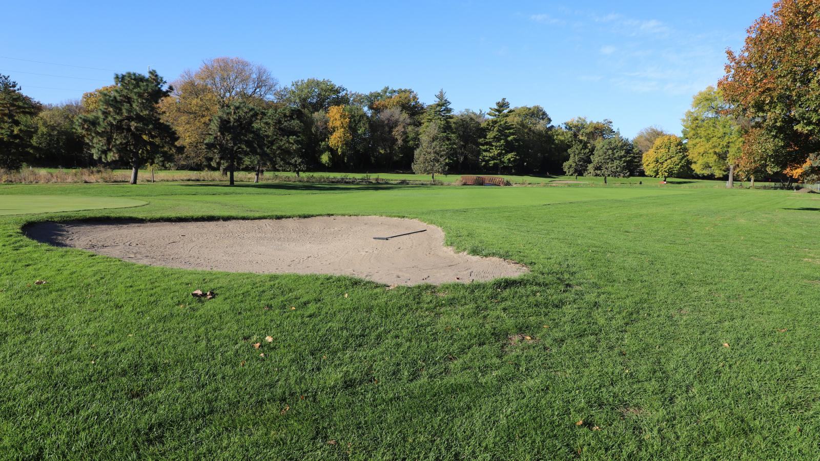 turf on golf course