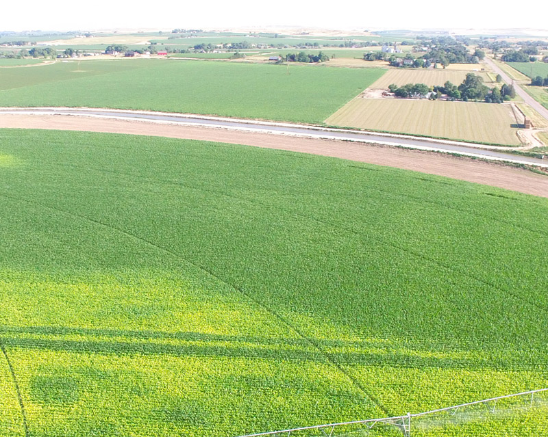 soil char plot